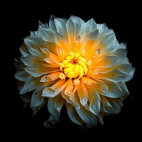 AI 기반 예술 및 로열티 프리 음악