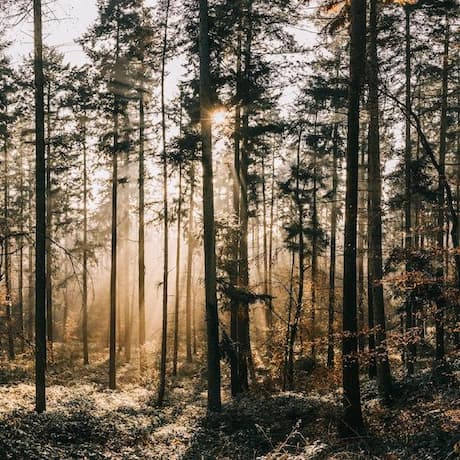 Action and Royalty-Free Music Powered by AI Action and Royalty-Free Music Powered by AI