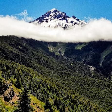 Música libre de regalías de Bells Música libre de regalías de Bells