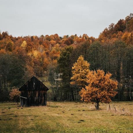Música libre de regalías a 180 BPM