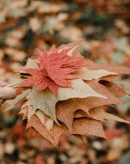 드라마틱한 로열티 프리 음악
