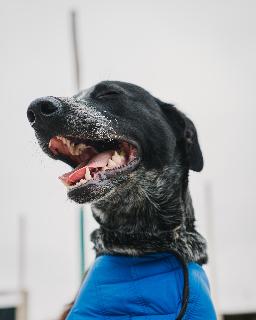 Post-Rock royalty-free music