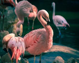 Música libre de regalías de Glitch Hop