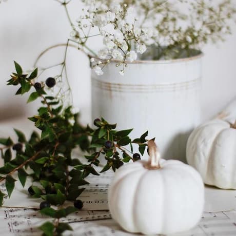 Royalty-free music at 123 BPM