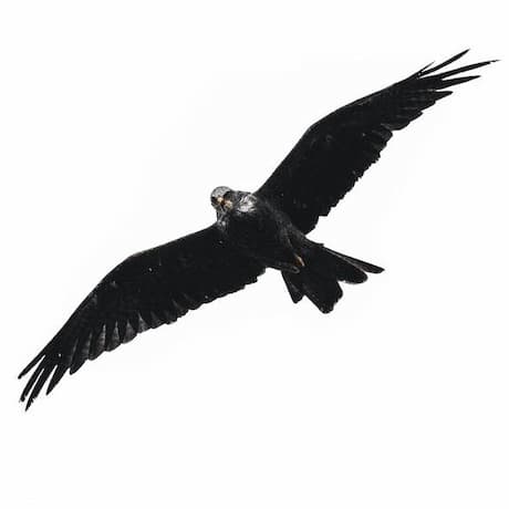 Royalty-free music at 126 BPM