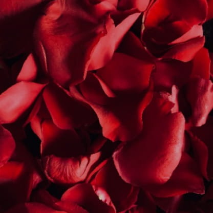 Lista de reproducción de San Valentín y música libre de regalías con tecnología de IA