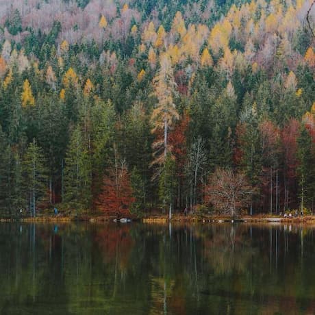 Comedia y música libre de regalías impulsada por IA