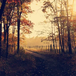 Herbstliche Musik im Hintergrund