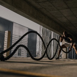 Pistas de entrenamiento