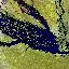 Sporadic Reactions
