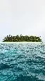 No One Stays Alone