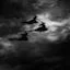 Veil of Nightfall