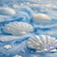 Gentle Reflections