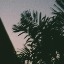 Love Letter to the Wind