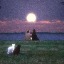 Echoes of Memories