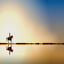The Stillness Within