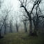 The Hollowed Path