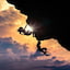 The Climb