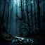 Somberly Horrified Forest