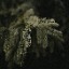 Static Motion Capture