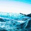 Echoic Drift Pattern