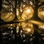 Music from Another Dimension