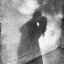Whispers in the Dark